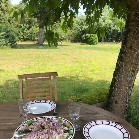 Appartement En Pleine Nature Soustons Exteriör bild